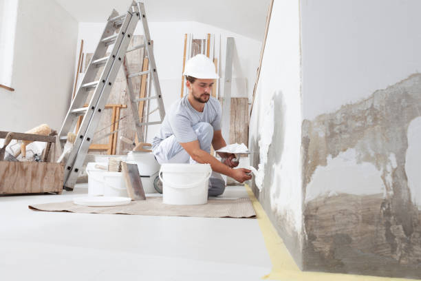  Kaibito, AZ Mold Removal Pros