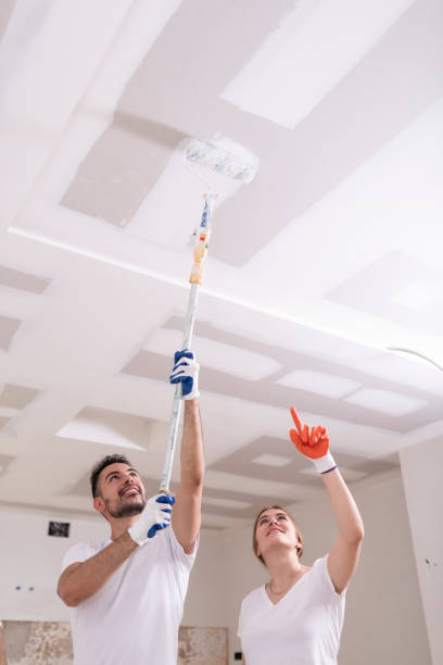 Best Asbestos and Lead Testing During Mold Inspection  in Kaibito, AZ