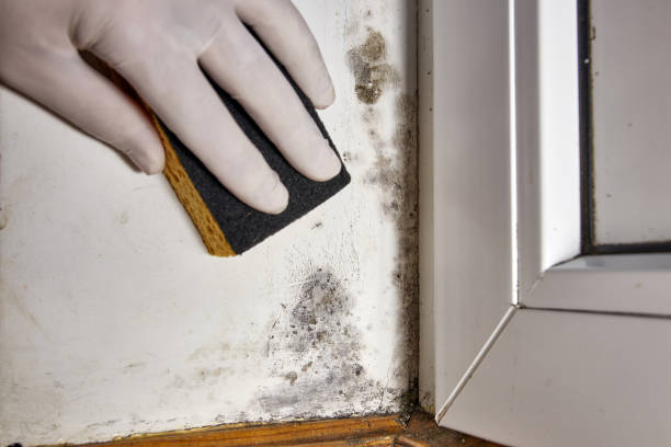 Best Indoor Air Quality Assessment  in Kaibito, AZ