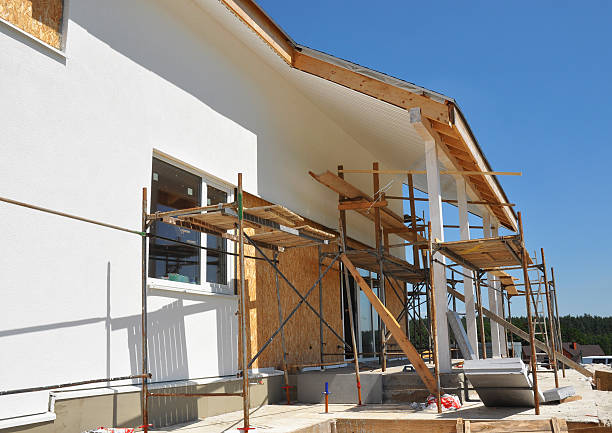 Best Mold Remediation for Vacation Homes  in Kaibito, AZ